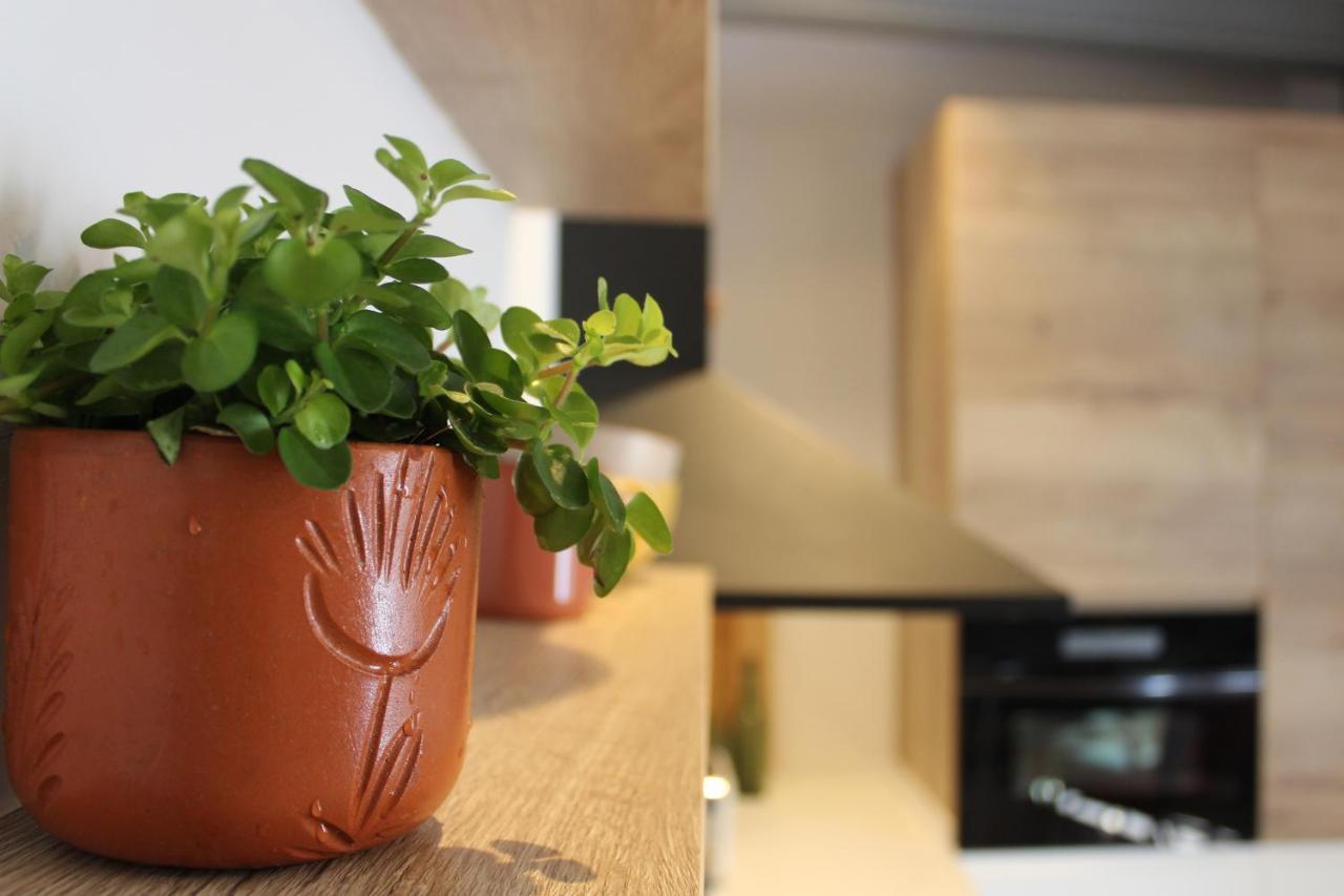 Ximenetxe Vivienda Turistica Holiday home